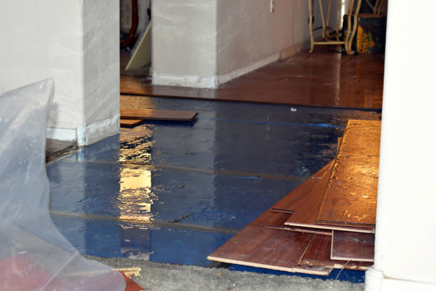 Professional Water Extraction technician working in Lowman, ID